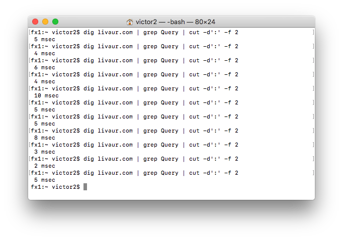 foto de demostración de uso de dns local